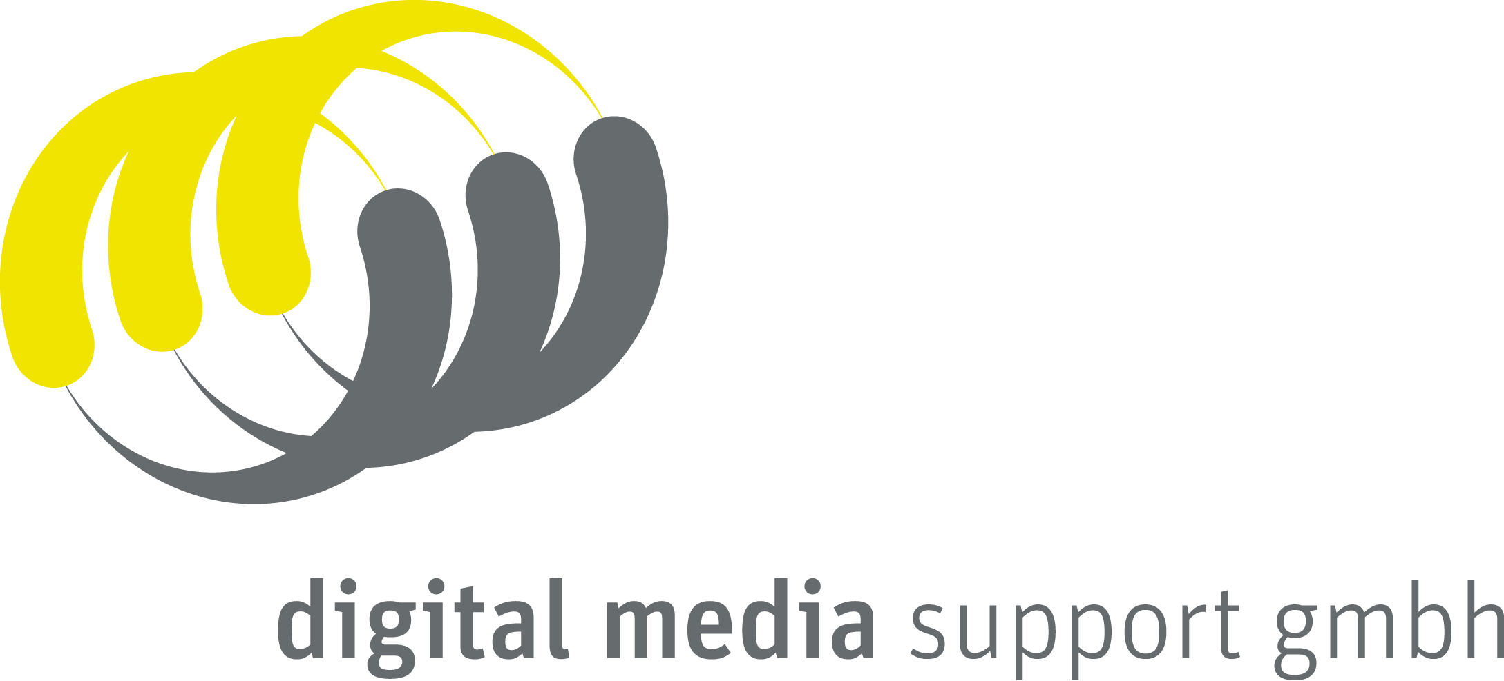 Logo der digital media support gmbh